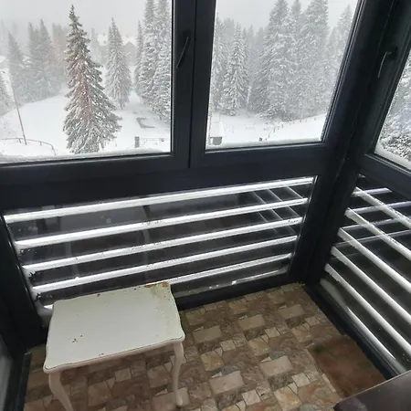 Bjanka 308 * Kopaonik