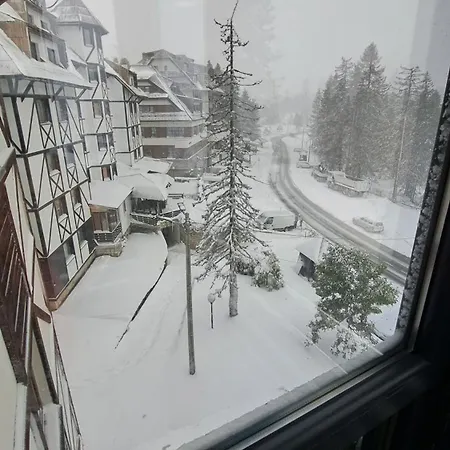 Bjanka 308 * Kopaonik